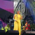“Nao mexa na ancestralidade do samba”, dispara Teresa Cristina imagem