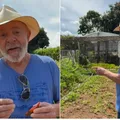 Para reduzir preço do alimentos, Lula vai se reunir com atacadistas imagem