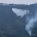 Pior incêndio florestal em meio século avança no Japão imagem
