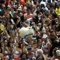 Sobe para 4 o número de pessoas feridas após disparo em circuito imagem