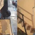 Vídeo: Mulher morre após cair de escada no dia do próprio aniversário imagem