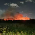 Vídeo: incêndio atinge área de mata em condomínio de Camaçari imagem