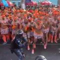 Vídeo mostra confusão entre GCM e foliões de 'As Muquiranas'; assista imagem