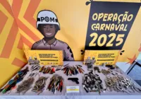Arma falsa, cachimbo de crack e mais itens são apreendidos no Carnaval