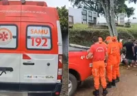 Ataque de abelhas em cemitério interrompe enterro no interior Bahia imagem