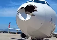 Avião da Latam colide com pássaro e CEO faz desabafo: "mais uma colisão" imagem