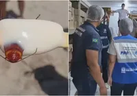 Barata no picolé! Fábrica é fechada e pode ser multada em R$13 milhões imagem