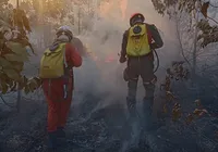 Bombeiros controlam incêndio em área de vegetação em Massarandupió