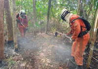 Bombeiros extinguiram incêndios florestais na Chapada Diamantina