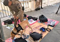 Cães da PM farejam drogas e armas nos portais de Carnaval imagem