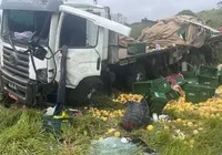 Caminhão cai em ribanceira e motorista morre na BA-026, na Bahia