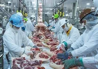 China inicia investigação sobre importações de carne bovina de Brasil