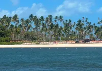 Conheça a história Praia dos Carneiros, uma das mais bonitas do Brasil imagem