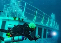 Da necessidade à curiosidade: o Juracy vira vedete no fundo do mar imagem