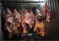 Empresa é investigada por vender carne estragada das enchentes no RS