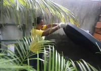 Bahia registra queda em casos de dengue imagem