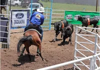 Feira de Santana recebe I Etapa do Campeonato Baiano de Ranch Sorting imagem