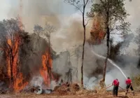 Governo federal declara emergência por risco de incêndios