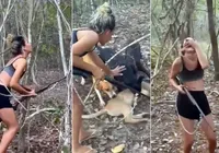 Ibama identifica e multa envolvidos em morte de onça-parda no Piauí imagem