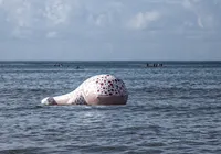 Itapuã, onde a baleia saiu da morte matada para virar festa de amor