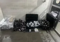 Mais de 200 kg de haxixe são apreendidos em Lauro de Freitas imagem