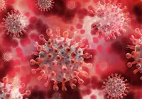 Novo coronavirus é descoberto na China