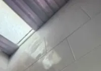 ONG suspende atendimento para 300 famílias após furto em Salvador imagem