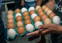 Ovos a até R$ 264: preço médio dispara no atacado neste ano imagem