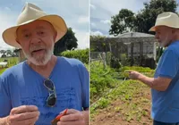 Para reduzir preço do alimentos, Lula vai se reunir com atacadistas imagem