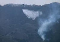 Pior incêndio florestal em meio século avança no Japão imagem
