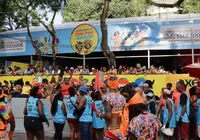 Servidores da Câmara participam do Carnaval no Observatório da Câmara imagem