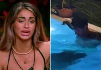 Traição em piscina de reality viraliza e vira meme: "Mamada aquática" imagem