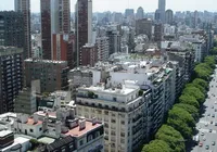 Turista brasileiro morre após atropelamento em Buenos Aires imagem