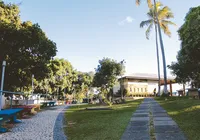 UCSal anuncia que irá ofertar curso de Odontologia imagem