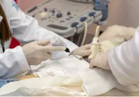 Universidade brasileira testa técnica inédita contra câncer de mama imagem