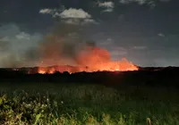 Vídeo: incêndio atinge área de mata em condomínio de Camaçari imagem