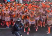 Vídeo mostra confusão entre GCM e foliões de 'As Muquiranas'; assista imagem