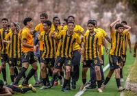 Ypiranga anuncia retorno ao futebol profissional e disputa do Baianão imagem