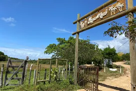 Baixio atrai cada vez mais visitantes em busca de tranquilidade - Imagem