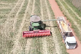 Para 76% da população, agro é fundamental - Imagem