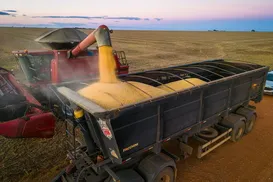 O que agricultores recebem versus o que nós consumidores pagamos - Imagem