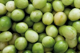 Umbu fortalece agricultura familiar e aquece a economia do semiárido - Imagem