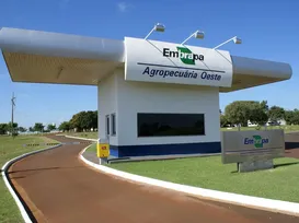 Embrapa prorroga inscrições de concurso com 1.027 vagas; confira - Imagem