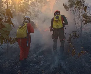 Bombeiros controlam incêndio em área de vegetação em Massarandupió