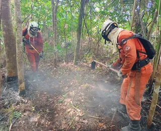 Bombeiros extinguiram incêndios florestais na Chapada Diamantina