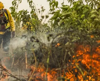 Brasil tem 1 milhão de focos de queimada registrados em 5 anos