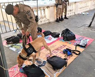 Cães da PM farejam drogas e armas nos portais de Carnaval