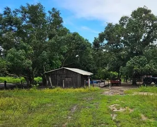 Casal é morto em frente ao filho por causa de 800 cabeças de gado