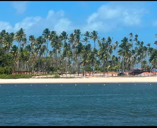 Conheça a história Praia dos Carneiros, uma das mais bonitas do Brasil