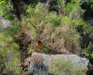 Corpo de homem desaparecido é encontrado em mata no interior da Bahia